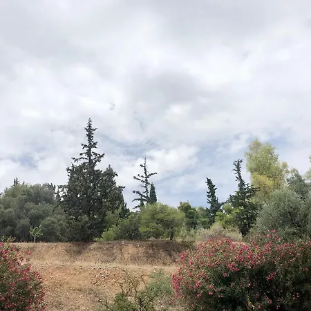 Olive Tree Deluxe Under Acropolis Hillside Appartamento Atene